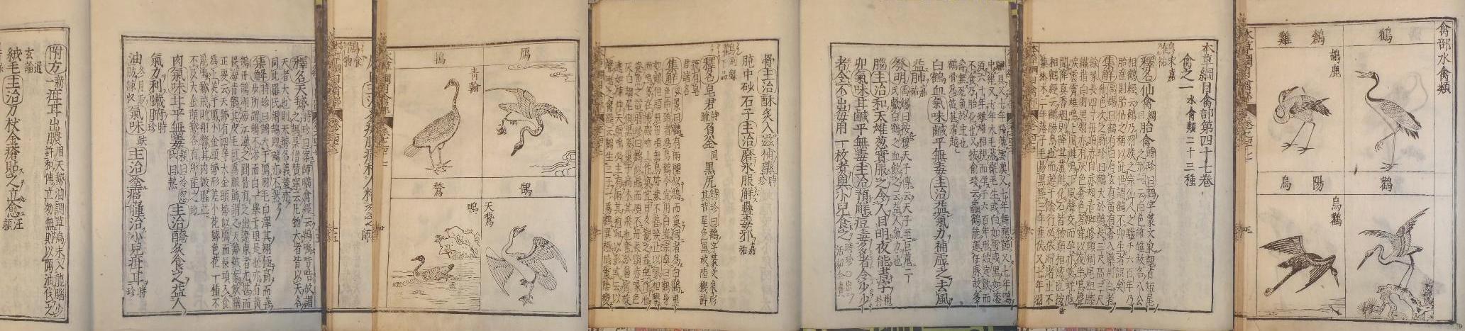 fig.01 �ߋy�э��w�{���j�ځx�a���{�E��l�\�܊�
�i�悵����ˑ����j