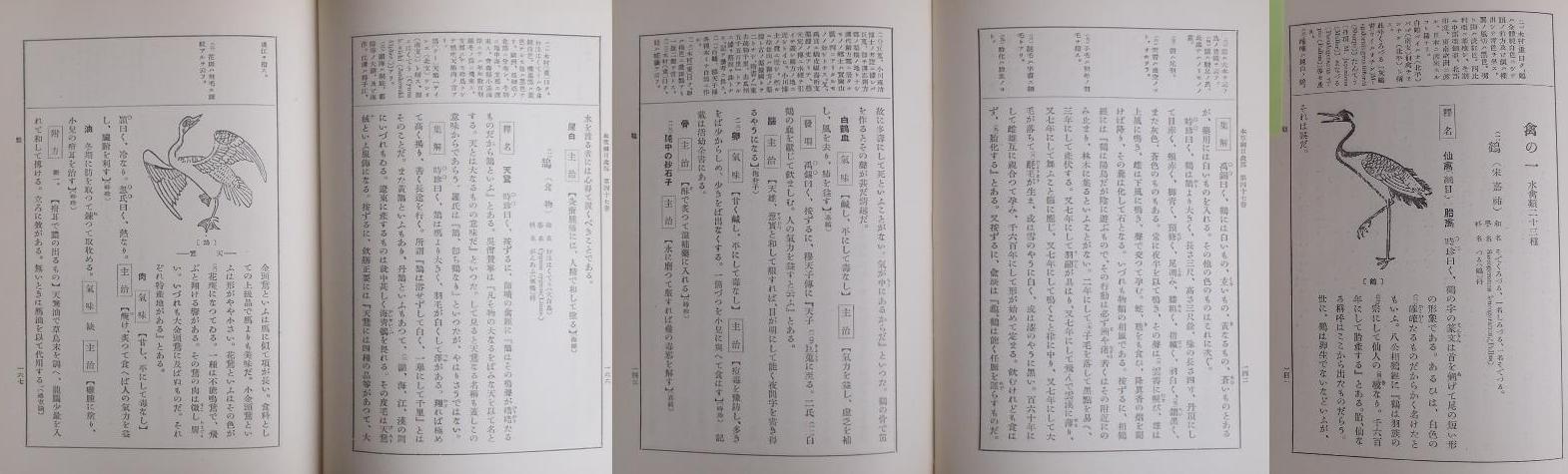 fig.02 �ߋy�э��w��������{���j�ځx��\���
�i�悵����ˑ����j