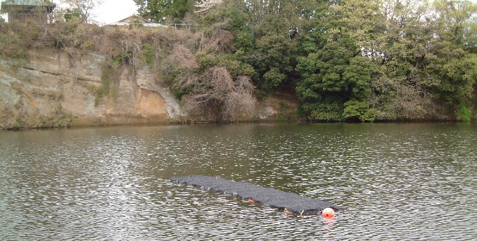 �T�R�΁i�_�Љ��j