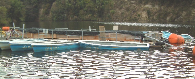 �T�R�΁i�T�R���Y�Z���^�[���j