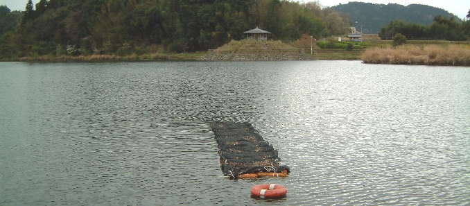 �T�R�΁i�g�L�^�{�[�g���j