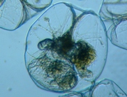 fig.04 �t�N�������V