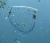 fig.08 �s�ڂO�Q