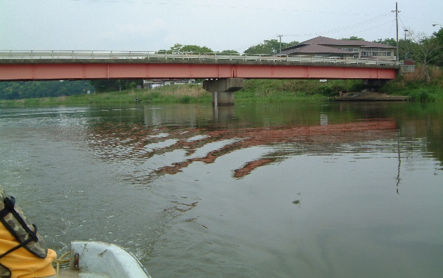 ���v���i�O���������j