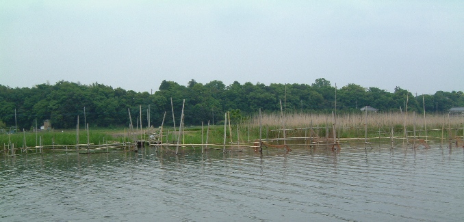 ���v���i���J�c��͌��j