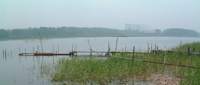 ���v���i�����^���{�[�g���܂≫�j