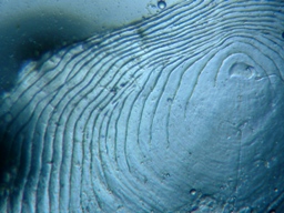 fig.03 ���J�T�M��