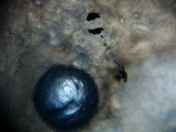 fig.04 ���Ǔ��e��