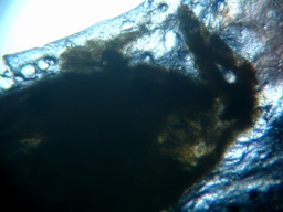 fig.05 ���Ǔ��e��