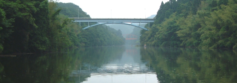 �T�R�΁i�┨�����j