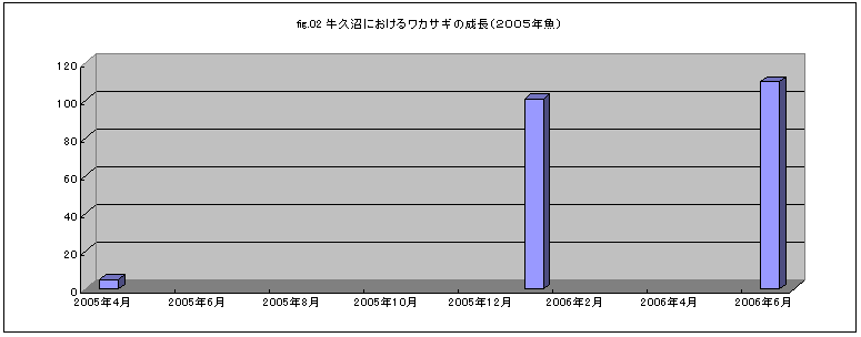 fig.02 ���v���ɂ�����A���J�T�M�̐����i�Q�O�O�T�N���j