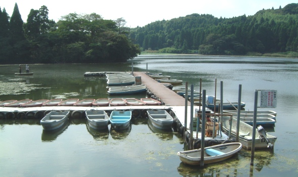 �Y�փP�r�i�{�[�g�n�E�X�c�J���g�V���j