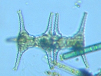 fig.08 �c�d�~����