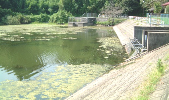 �Y�փP�r�i�]���f�O�j