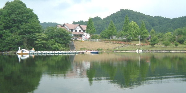 fig.01 �T�R��
F.�R�e�[�W�΂����Ǝ���