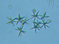 fig.10 �A�N�e�B�i�X�c�������i�Α��j