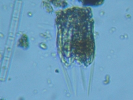 fig.05 �n�l�E�f�����V