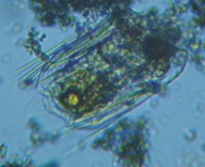 fig.03 �n�l�E�f�����V