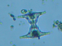 fig.07 �c�d�~����