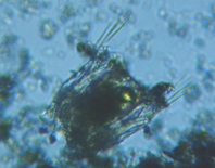 fig.05 �n�l�E�f�����V