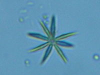 fig.09 �A�N�e�B�i�X�g�������i�Α��j