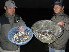 �߂��ŃC�C�v��