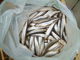 �y���߂܂���