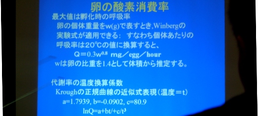 fig.02 ���C��w�H���������_������
�w�΂̕ۑS�ƃ��J�T�M�̑��B�ɂ��āx