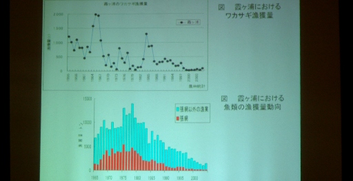fig.04 ��錧�����ʐ��Y������y�i�@�ւ����
�w���J�T�M���Ƃ�܂����ނ̌����ʑ����Ǝ�g���ω��x