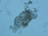 fig.06 �e�}�������V