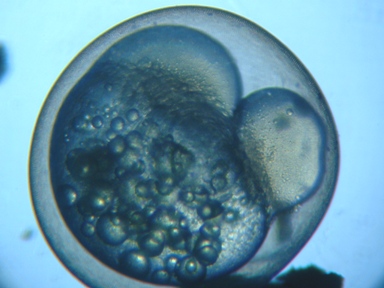 �󐸌�T���Ԍo�ߑ�����