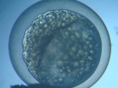 �󐸌�R�O���Ԍo�ߑ�����