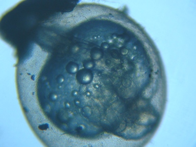 �󐸌�Q�R�O���Ԍo�ߑ�����