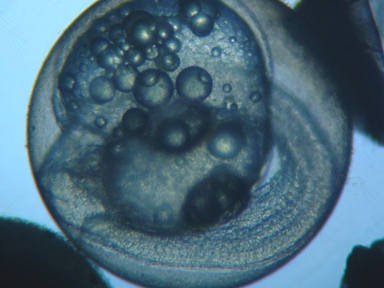 �󐸌�Q�V�O���Ԍo�ߑ�����