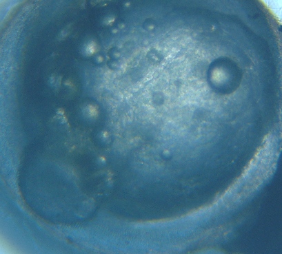 �󐸌�R�O�O���Ԍo�ߑ�����