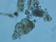 fig.06 �e�}�������V