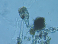 fig.06 �e�}�������V