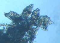 fig.08 �e�}�������V