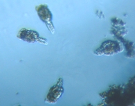 fig.04 �e�}�������V