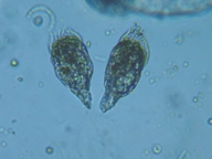 fig.05 �e�}�������V