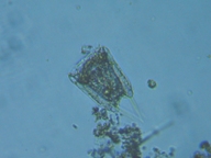 fig.04 �n�l�E�f�����V