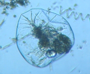 fig.03 �t�N�������V