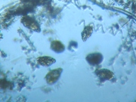 fig.05 �e�}�������V