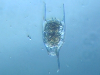 fig.12 �c�m�����V