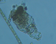 fig.07 �e�}�������V