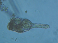 fig.09 �e�}�������V