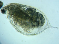 fig.05 �_�t�j�A