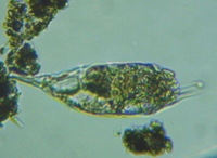 fig.08 �l�Y�~�����V