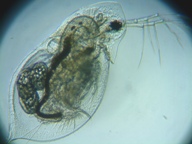 fig.03 �_�t�j�A