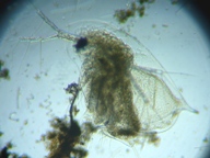 fig.03 �_�t�j�A